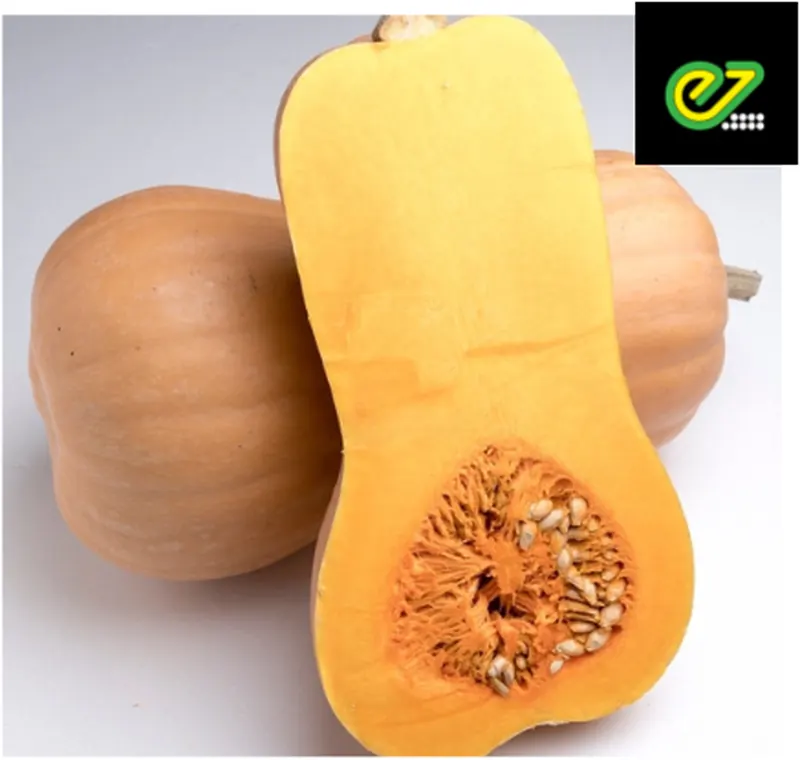 Тыква Матильда F1
