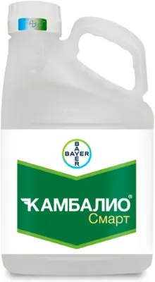 Камбалио Смарт фунгицид