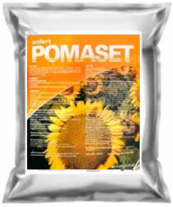 Помасет. Pomaset AsfertGlobal