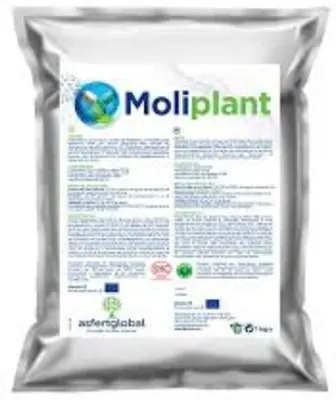 Молиплант. Moliplant AsfertGlobal